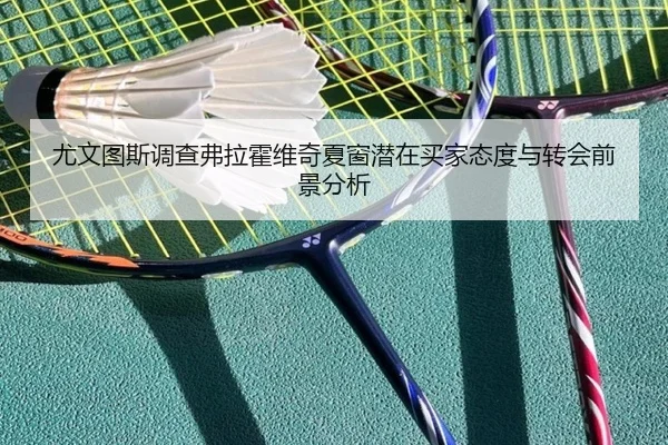 尤文图斯调查弗拉霍维奇夏窗潜在买家态度与转会前景分析